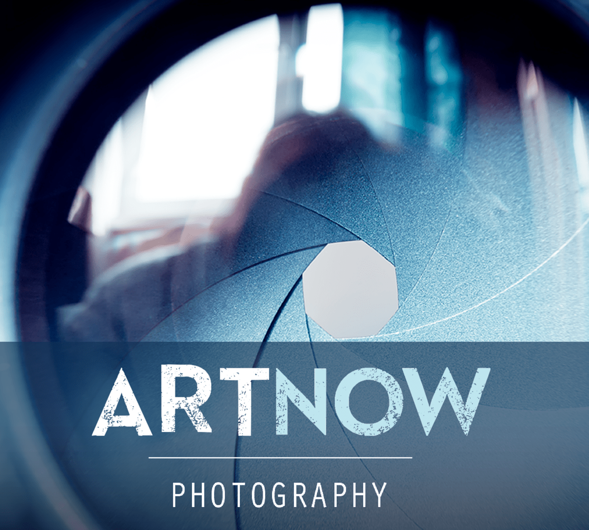 Art Now Photography Ann Arbor Art Center