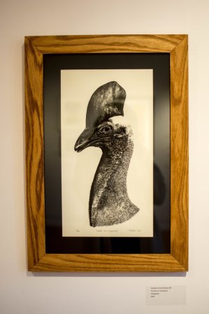 Portrait of a Cassowary, by Abraham Cone <b>$390</b>