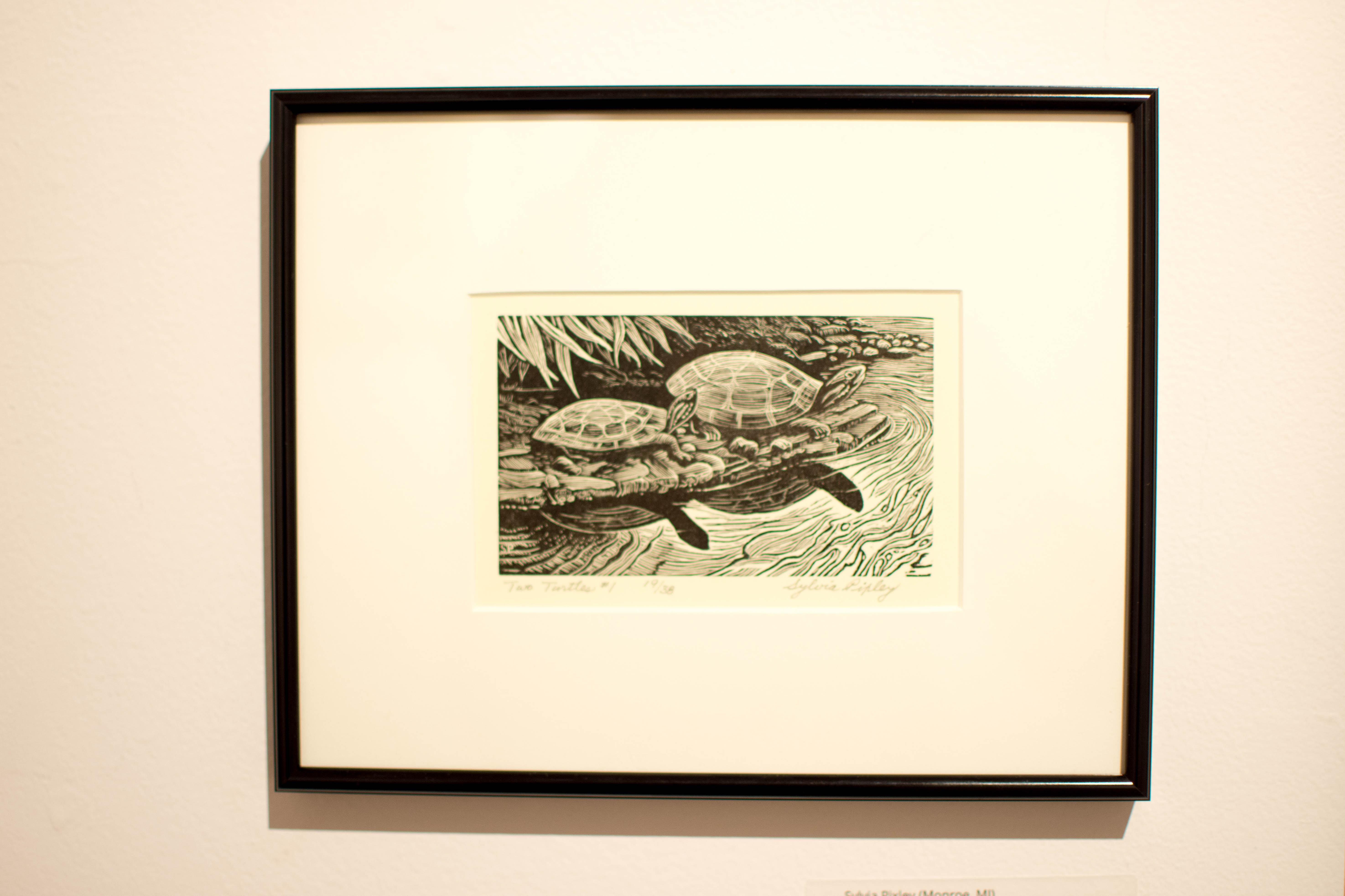 Two Turtles #1, by Sylvia Pixley <b>$90</b>