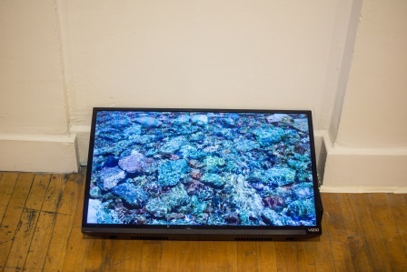 The Nature Channel by Christy Chan, $2000