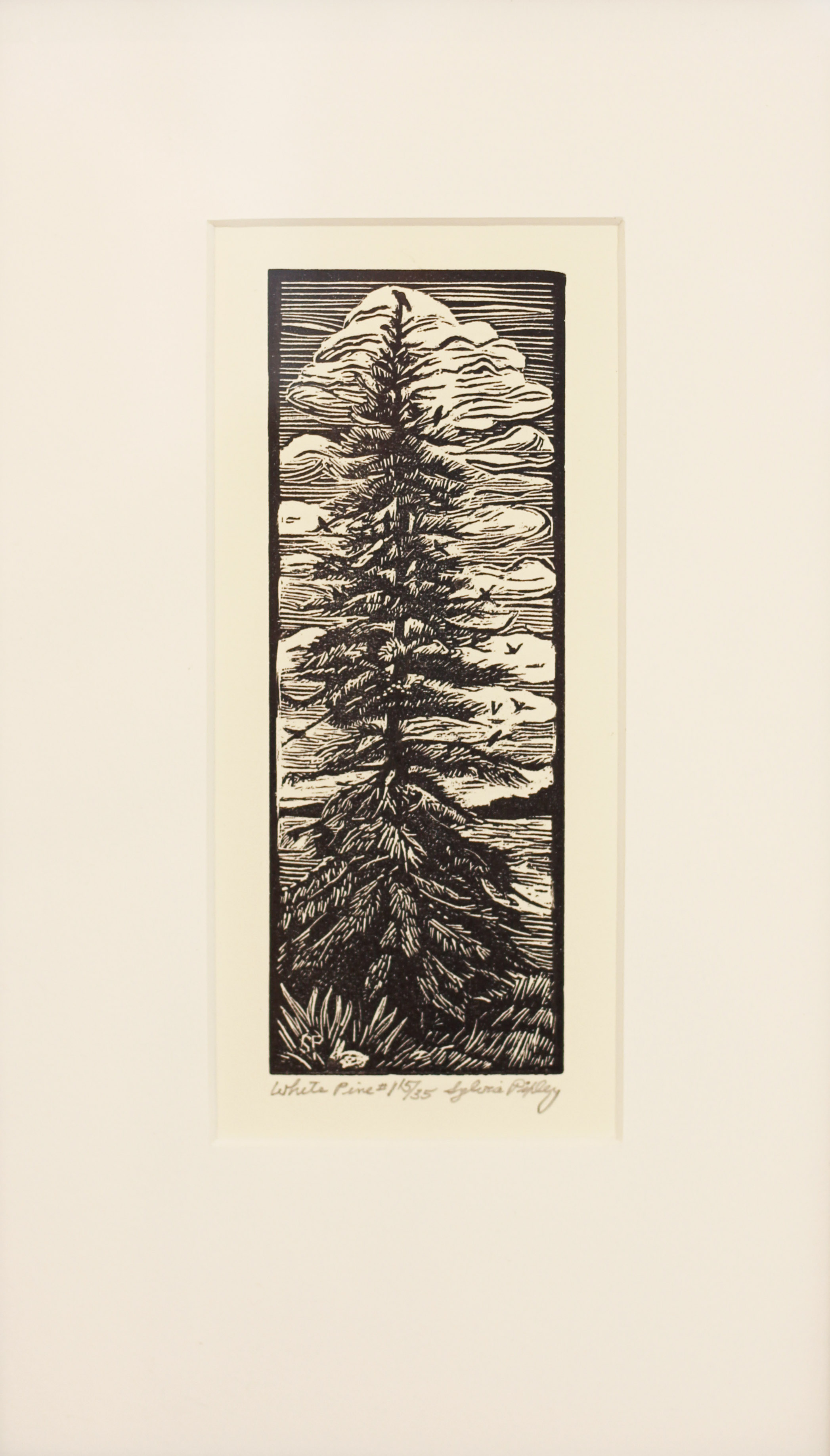 White Pine #1, Sylvia Pixley, $70