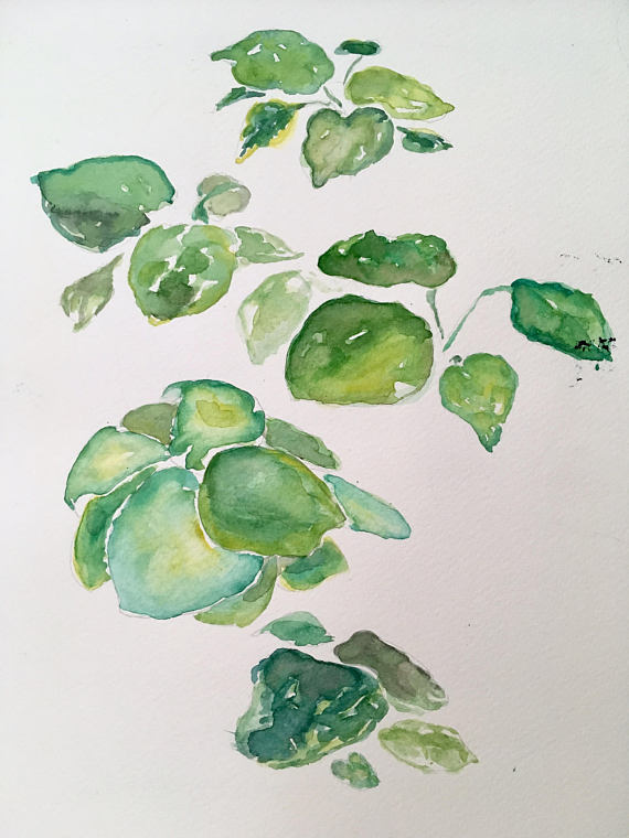 artwork Lyse Messmer Straight Up Ann Arbor Art Center alley bar minimal artist profile plant leaves botanical
