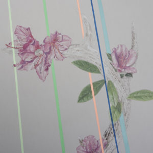 AzaleaGarden2 jessica tenbusch ann arbor art center ypsi alloy studios sanctuary drawing color nature flowers neon antler