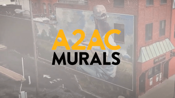 Ann Arbor Art Center To Add New Murals In Downtown