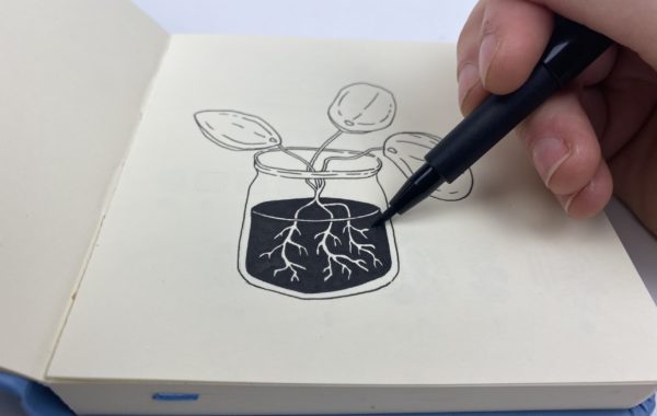 Intro to Pen & Ink