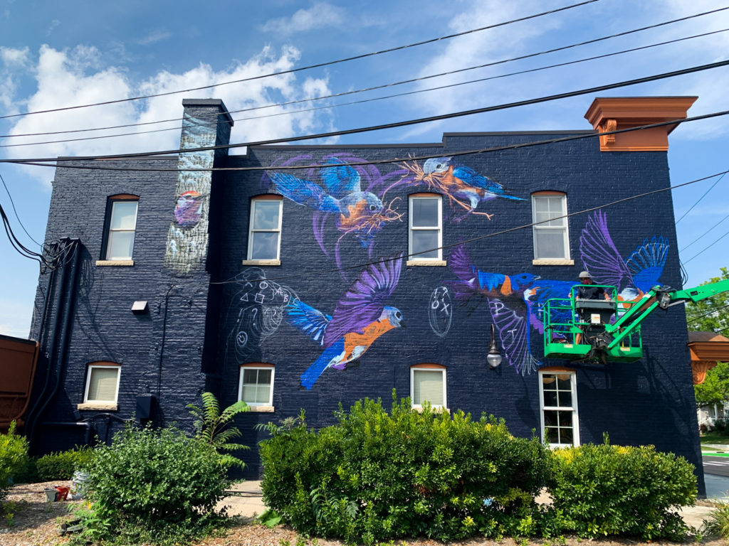 Jacob Dwyer A2AC Murals