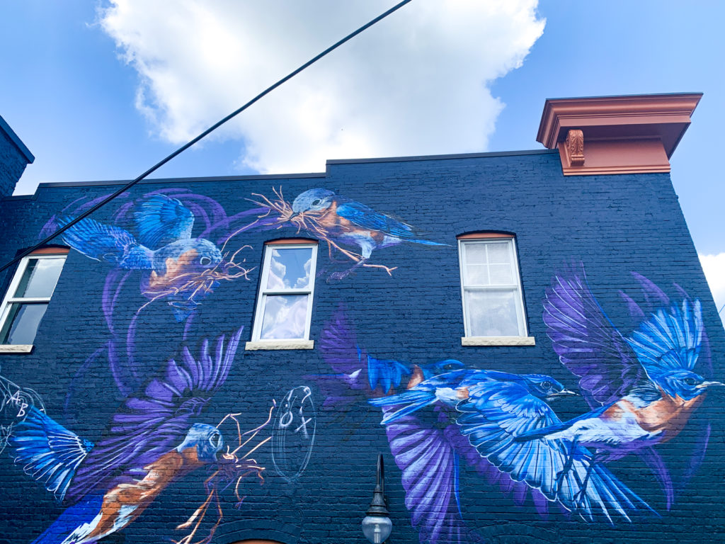 Jacob Dwyer A2AC Murals