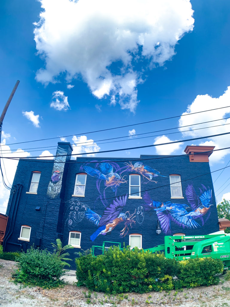 Jacob Dwyer A2AC Murals