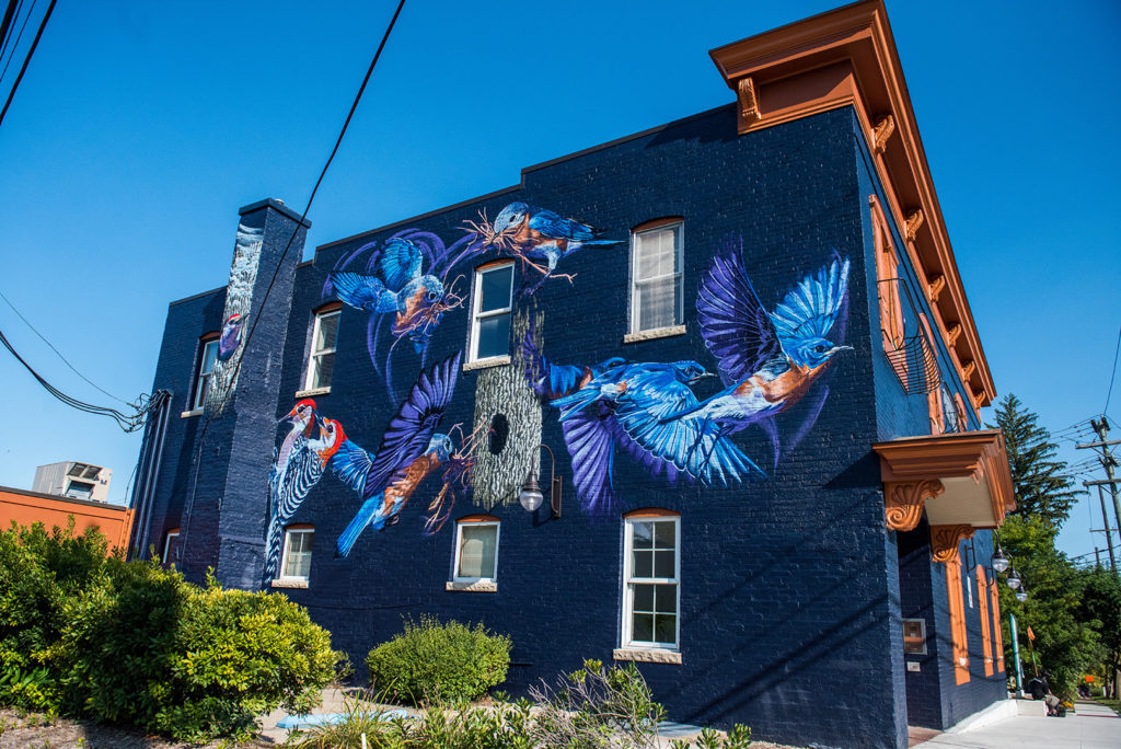 Jacob Dwyer A2AC Murals