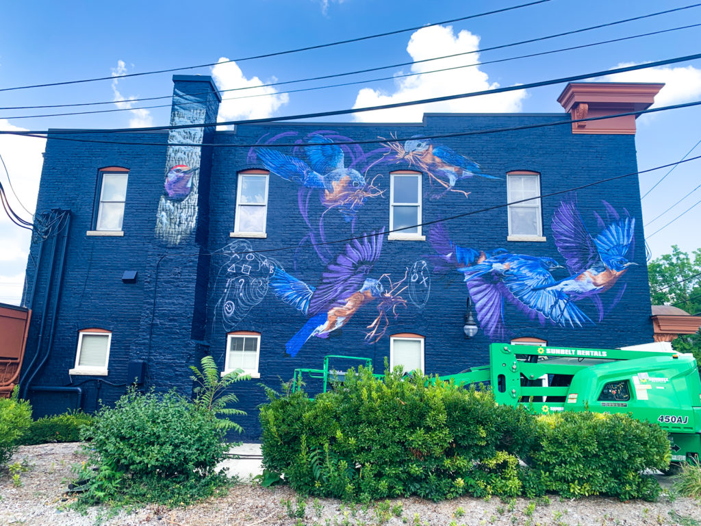 Jacob Dwyer A2AC Murals