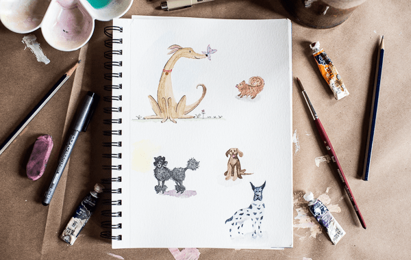 ONLINE: Ink & Watercolor Animal Illustrations | 3 Weeks