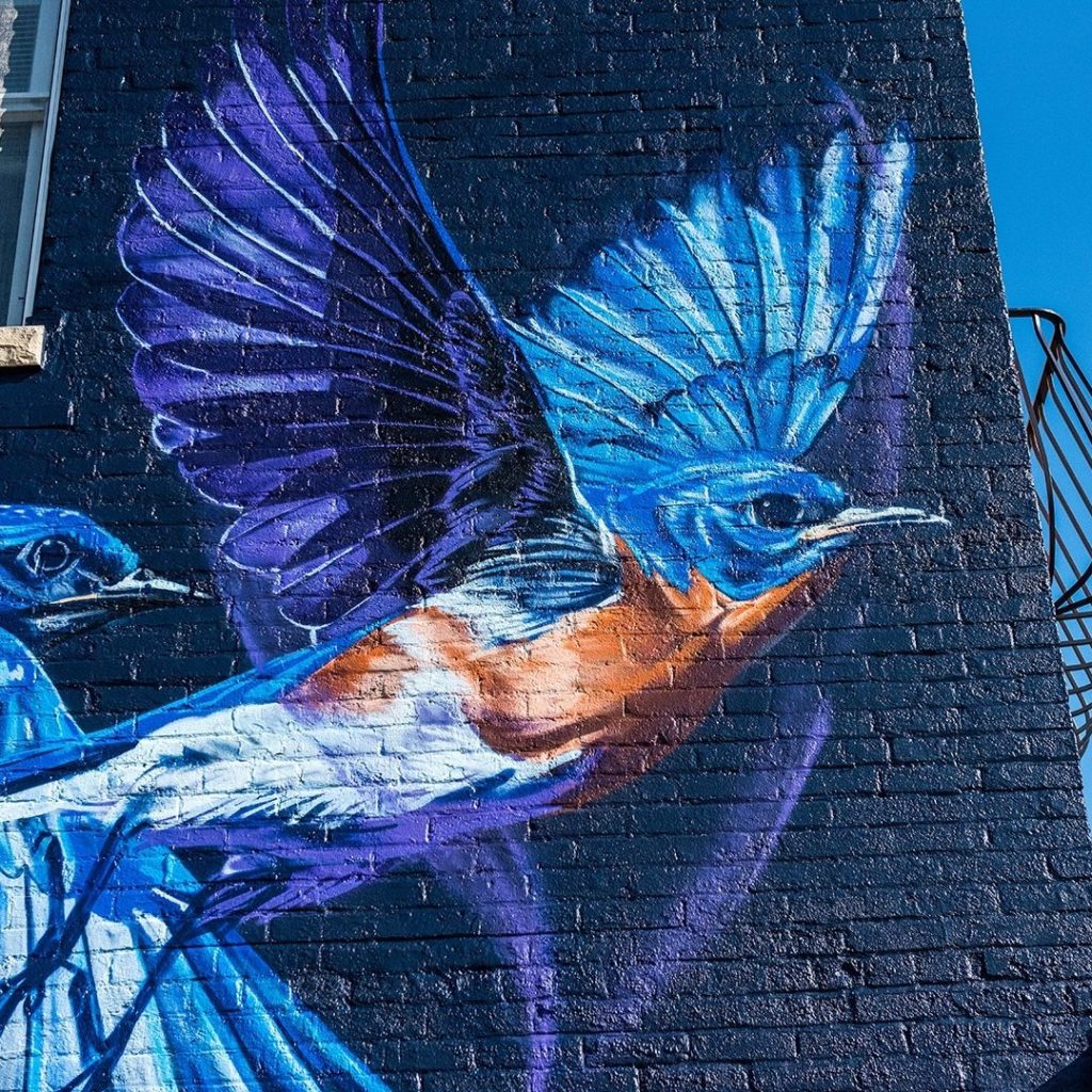 Jacob Dwyer A2AC Murals