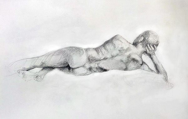 Anatomy and the Figure