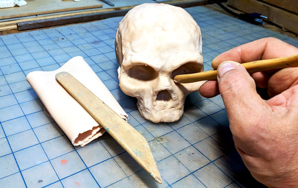 Intro to Polymer Clay | Skull Anatomy