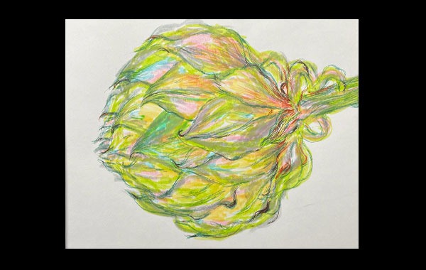 Drawing in Color