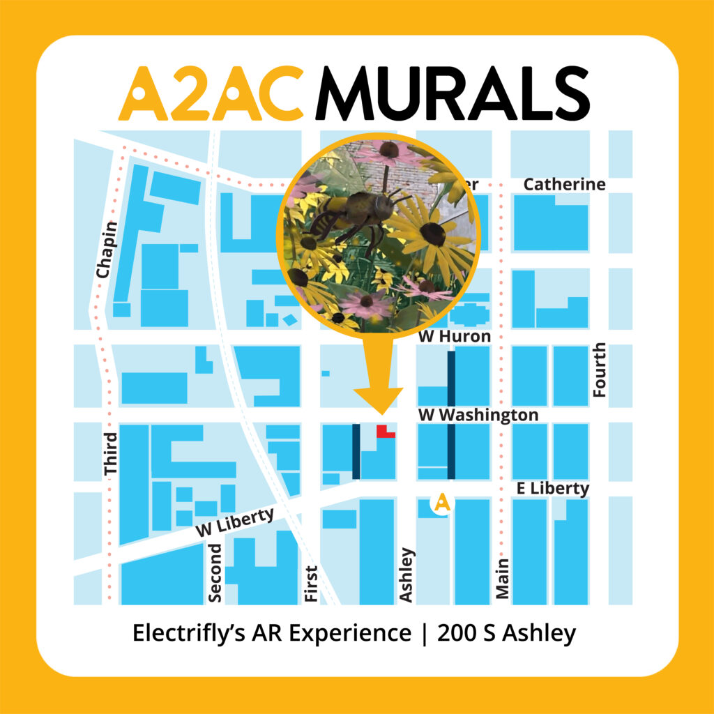 Electrifly A2AC Murals