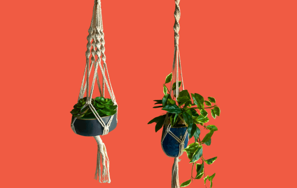 Ceramic Planters & Macrame Holders