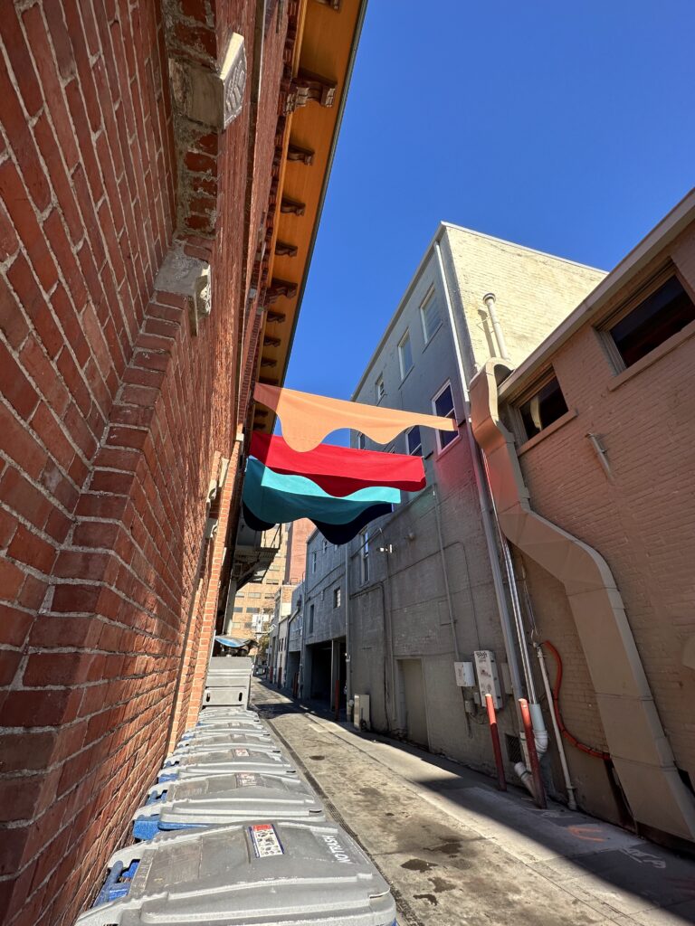 Bilge Nur Saltik A2AC Alleys