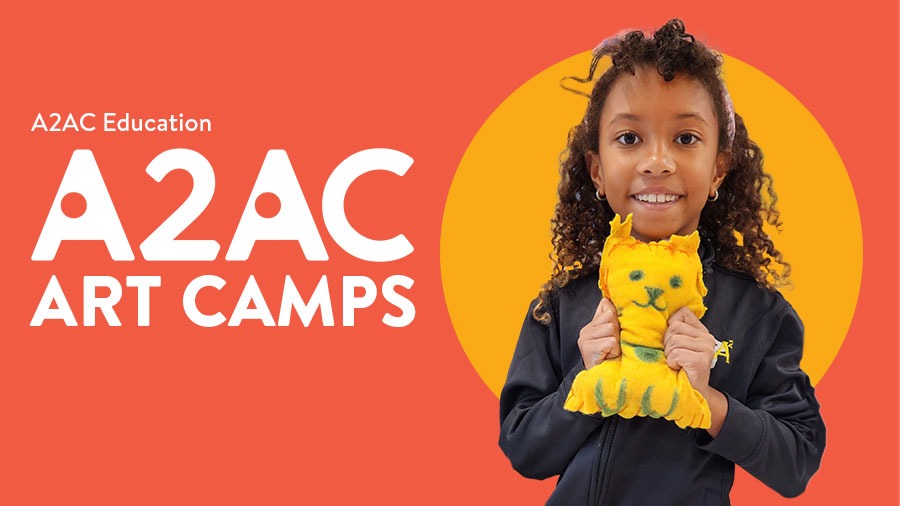 Art Camps in Ann Arbor