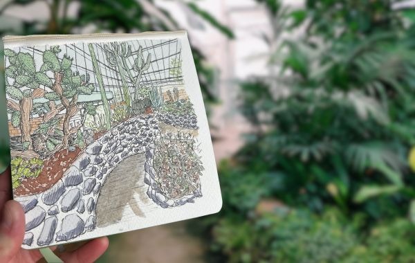 Urban Sketching Workshop: Nichols Arboretum