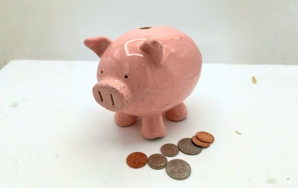 Clay Workshop: Piggy Banks